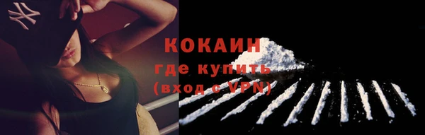 ECSTASY Ельня