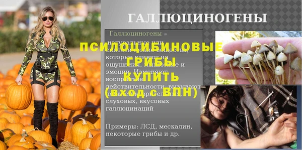 2c-b Абдулино