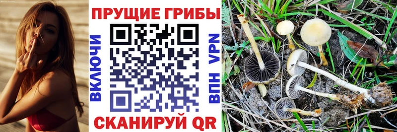 Галлюциногенные грибы Magic Shrooms Болотное